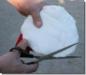 Preview: Medical Hoofslipper, available in 4 sizes
