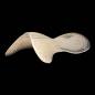Preview: Acavallo Gel Pad 3-in-1 with integrated front riser