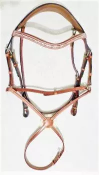 Bridle "Soft & Classy II" with Mexican Noseband, English Leather, incl. Web Reins