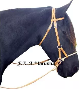 Bitless Bridle Larusha by F.R.A., Leather