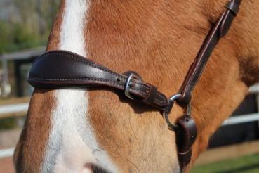 Drop Noseband, Adjustable, padded and lined, leather
