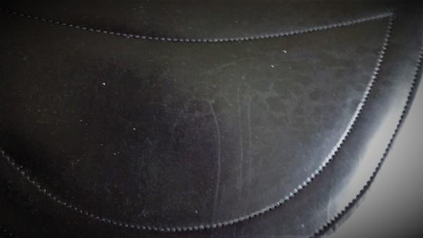 Stollenschutzgurt "ATH Crown" aus Leder, schwarz, 95 cm