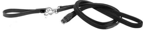 Draw Reins by Harry's Horse