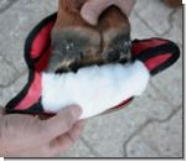 Medical Hoofslipper, available in 4 sizes
