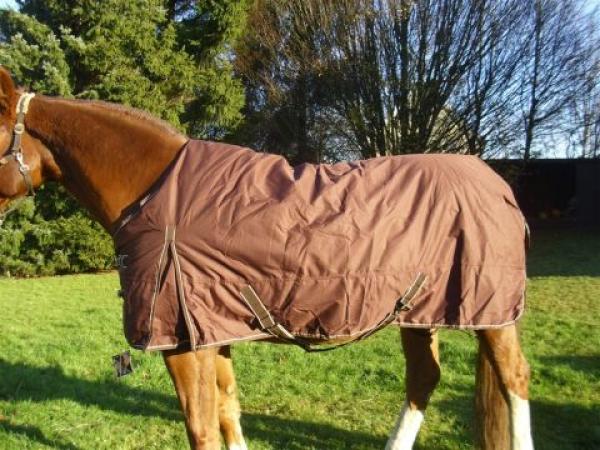 Regen-/Outdoordecke mit 250 g Füllung in braun