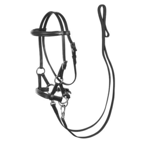 Bitless Bridle Pardoes by F.R.A., Leather